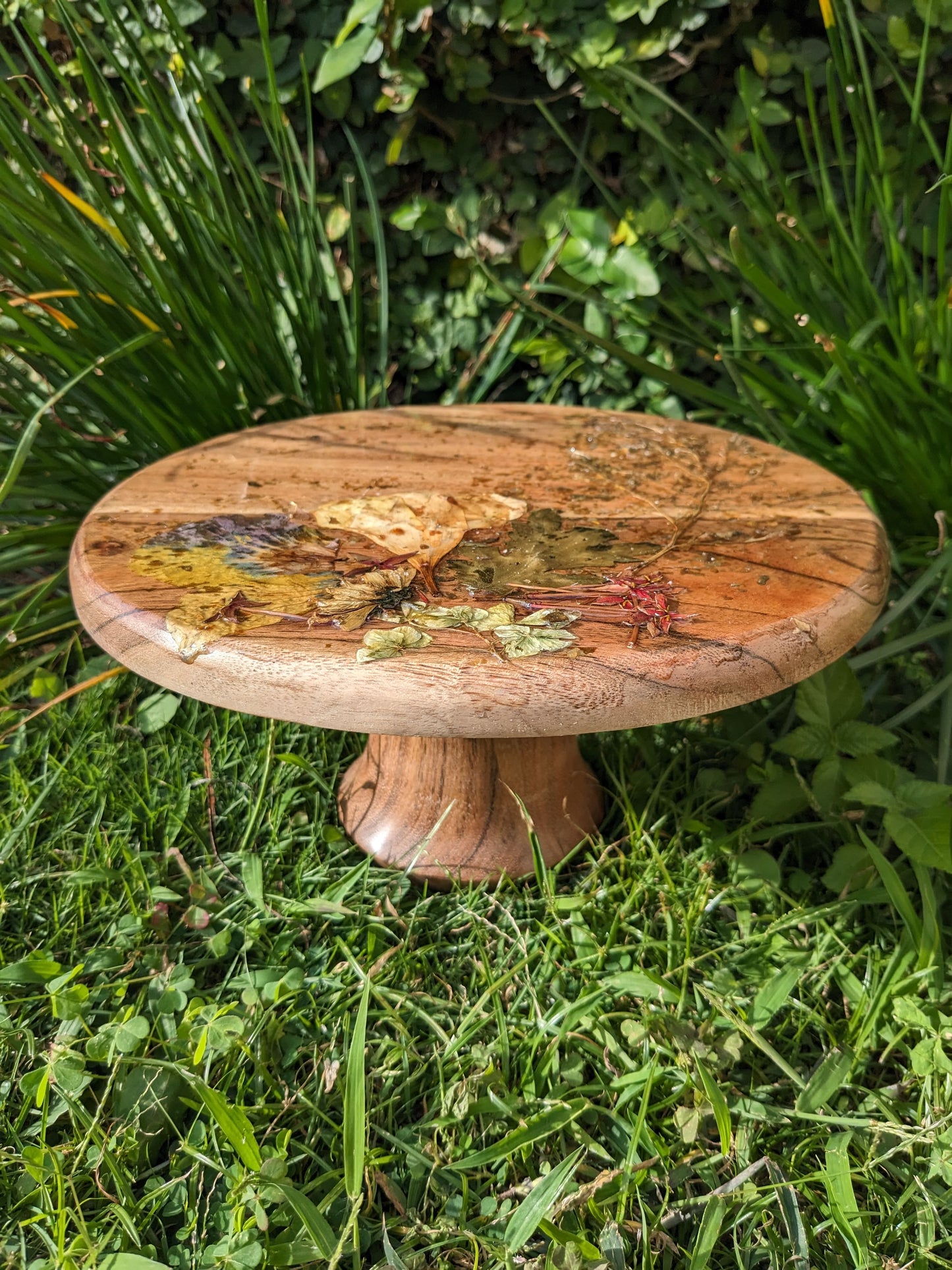 Cake Stand